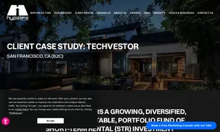 Preview of the Techvestor Case Study