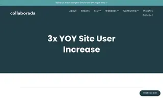 Preview of the BloGo Case Study