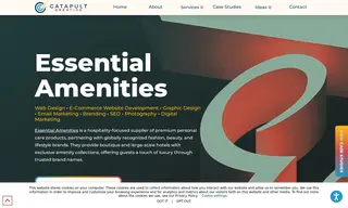 Preview of the Essential Amenities Case Study