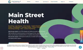Preview of the Main Street Health Case Study
