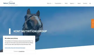 Preview of the Kent Nutrition Group Case Study