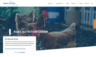 Preview of the Kent Nutrition Group Case Study