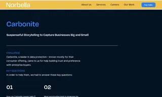 Preview of the Carbonite Case Study