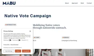 Preview of the NCAI Case Study