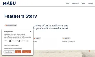 Preview of the NCAI Case Study