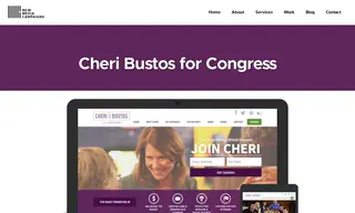 Preview of the Cheri Bustos for Congress Case Study