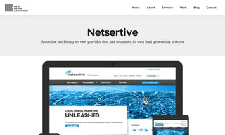 Preview of the Netsertive Case Study