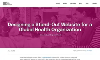 Preview of the EngenderHealth Case Study
