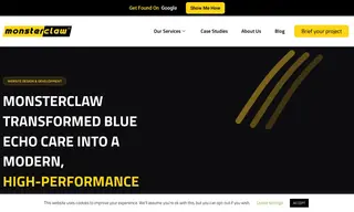 Preview of the Blue Echo Care Case Study