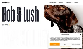 Preview of the Bob & Lush Case Study