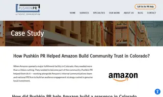Preview of the Amazon Case Study