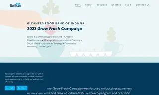 Preview of the Gleaners Food Bank of Indiana Case Study