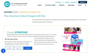 Preview of the Satin Ice Case Study