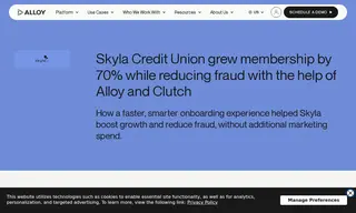 Preview of the Skyla Credit Union Case Study