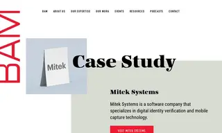 Preview of the Mitek Systems Case Study