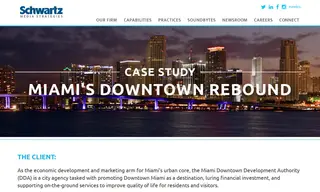 Preview of the Miami Downtown Development Authority Case Study