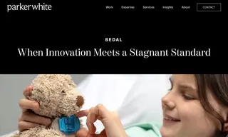 Preview of the Bedal Case Study
