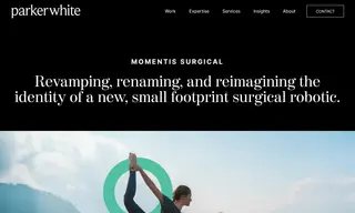Preview of the Momentis Surgical Case Study
