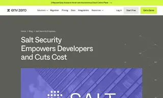 Preview of the Salt Security Case Study