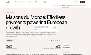 Preview of the Maisons du Monde Case Study