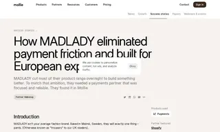 Preview of the Madlady Case Study
