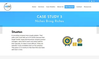Preview of the Large Pharmaceutical Firm Case Study