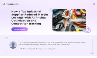 Preview of the Industrial Supplier Case Study