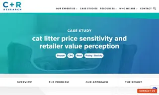 Preview of the Leading Cat Litter Brand Case Study