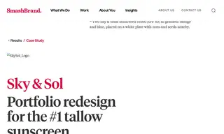 Preview of the Sky & Sol Case Study