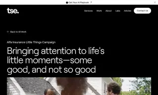Preview of the Alfa Insurance Case Study