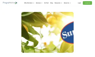 Preview of the MJR Creative Case Study