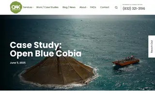 Preview of the Open Blue Case Study