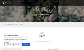 Preview of the O-I Glass Case Study