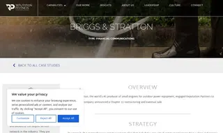 Preview of the Briggs & Stratton Case Study