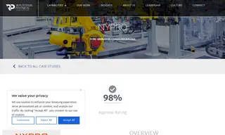 Preview of the Nypro Case Study