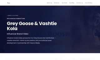 Preview of the Grey Goose Case Study