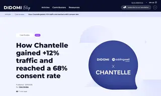 Preview of the Chantelle Case Study