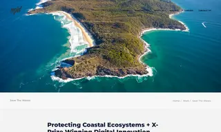 Preview of the Save The Waves Case Study