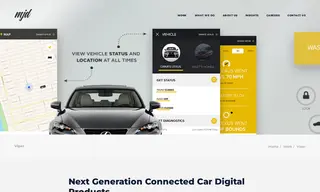 Preview of the Viper Case Study