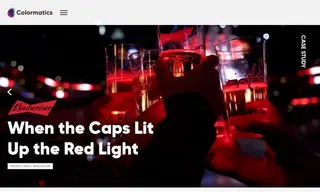 Preview of the Budweiser Case Study