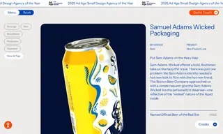 Preview of the Boston Beer Company Case Study