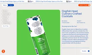 Preview of the Boston Beer Company Case Study