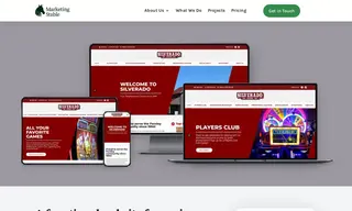 Preview of the Silverado Casino Case Study