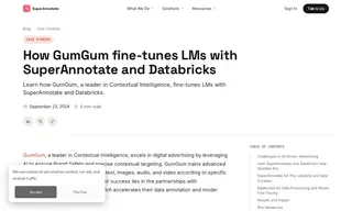 Preview of the GumGum Case Study