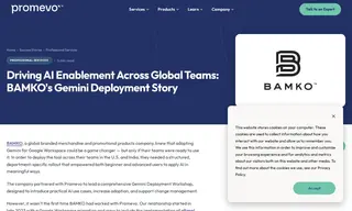 Preview of the BAMKO Case Study