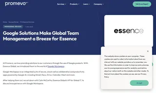 Preview of the Essence Global Case Study
