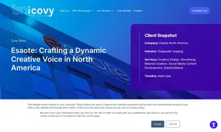 Preview of the Esaote North America Case Study