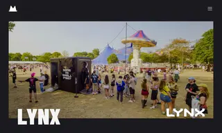 Preview of the LYNX Case Study