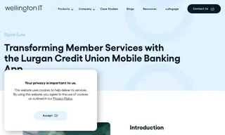 Preview of the Lurgan Credit Union Case Study