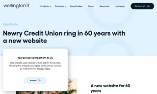 Preview of the Newry Credit Union Case Study